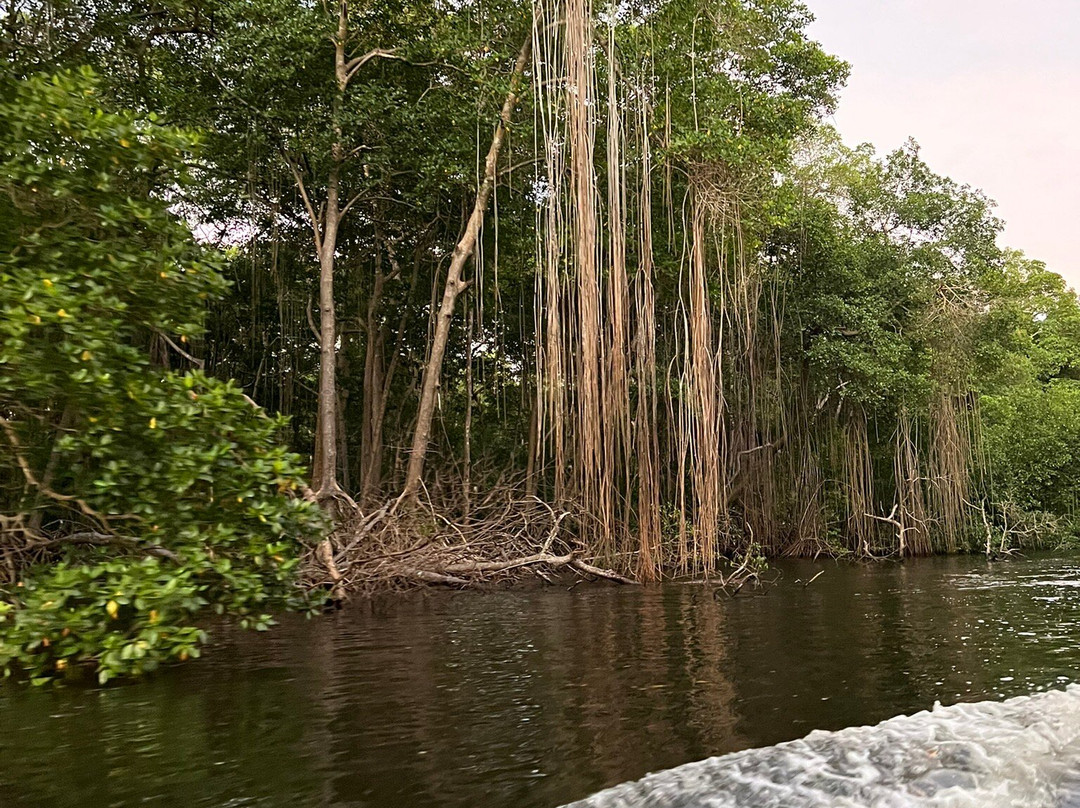 Island Experiences - Eco-Cultural Tours & Yacht Charters-西班牙港必去景点