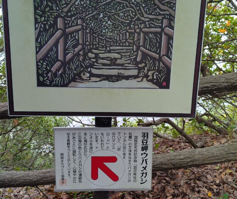 Morozaki Hazu Cape (Hazu Jinja Shrine)-南知多町必去景点