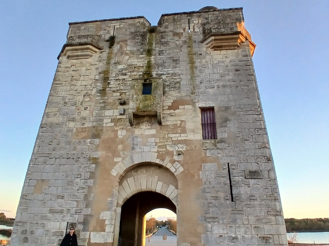 Tour Carbonniere-艾格莫尔特必去景点