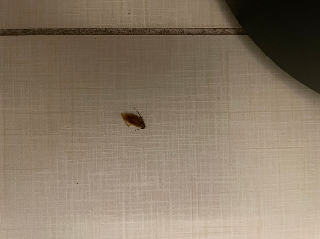 Spark By Hilton Port Wentworth Savannah主图