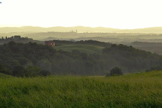 Agriturismo San Fabio主图