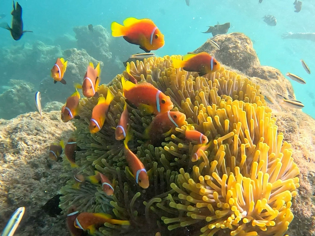 FollowMeToMaldives-马累必去景点