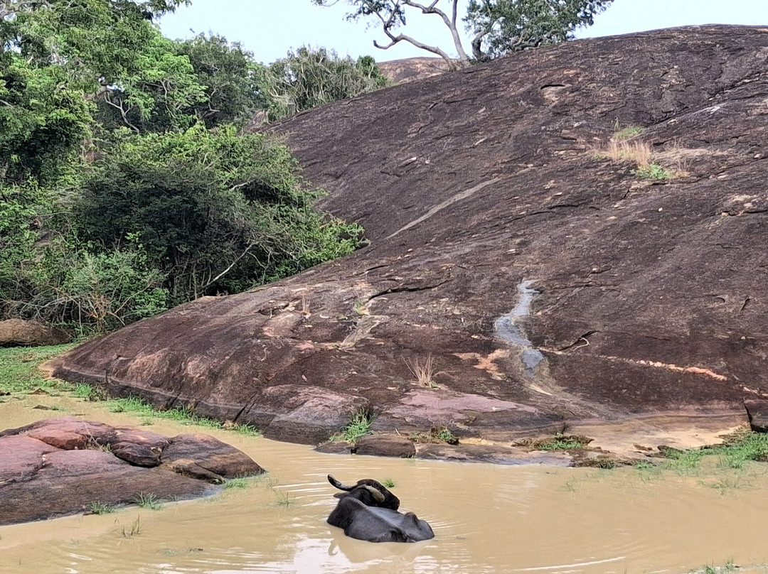 Geethmi Tours-亚洪加拉必去景点