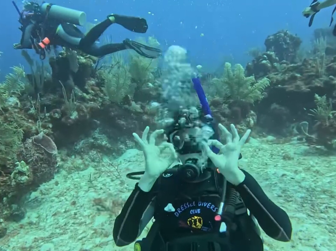 Dressel Divers - Barceló Maya Riviera-Barcelo Maya必去景点