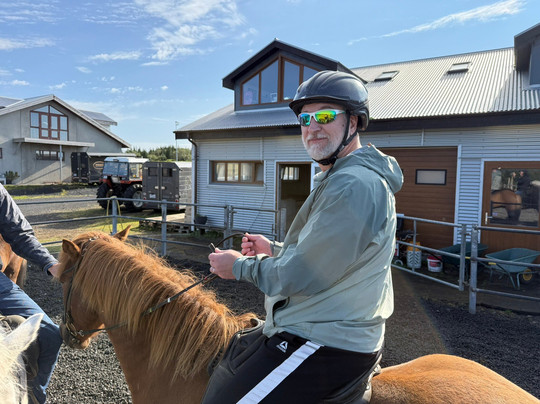 Viking Horses-雷克雅未克必去景点