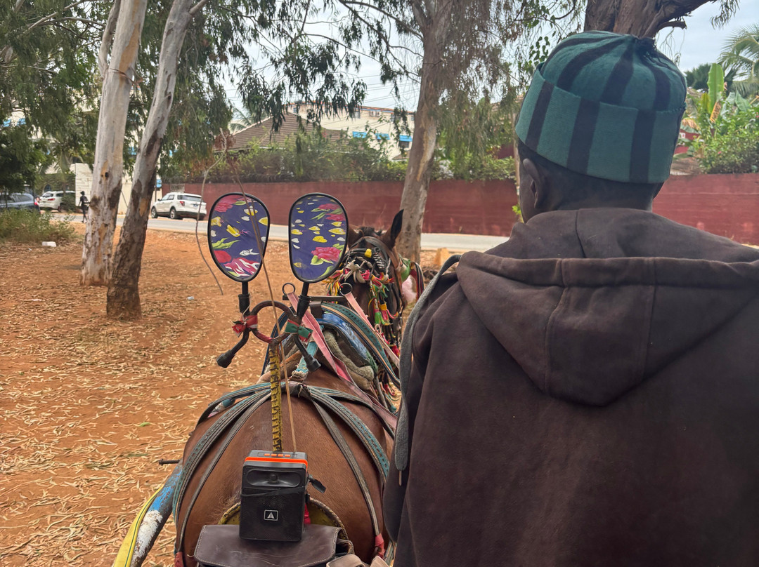 Senegal Voyage-Saly必去景点