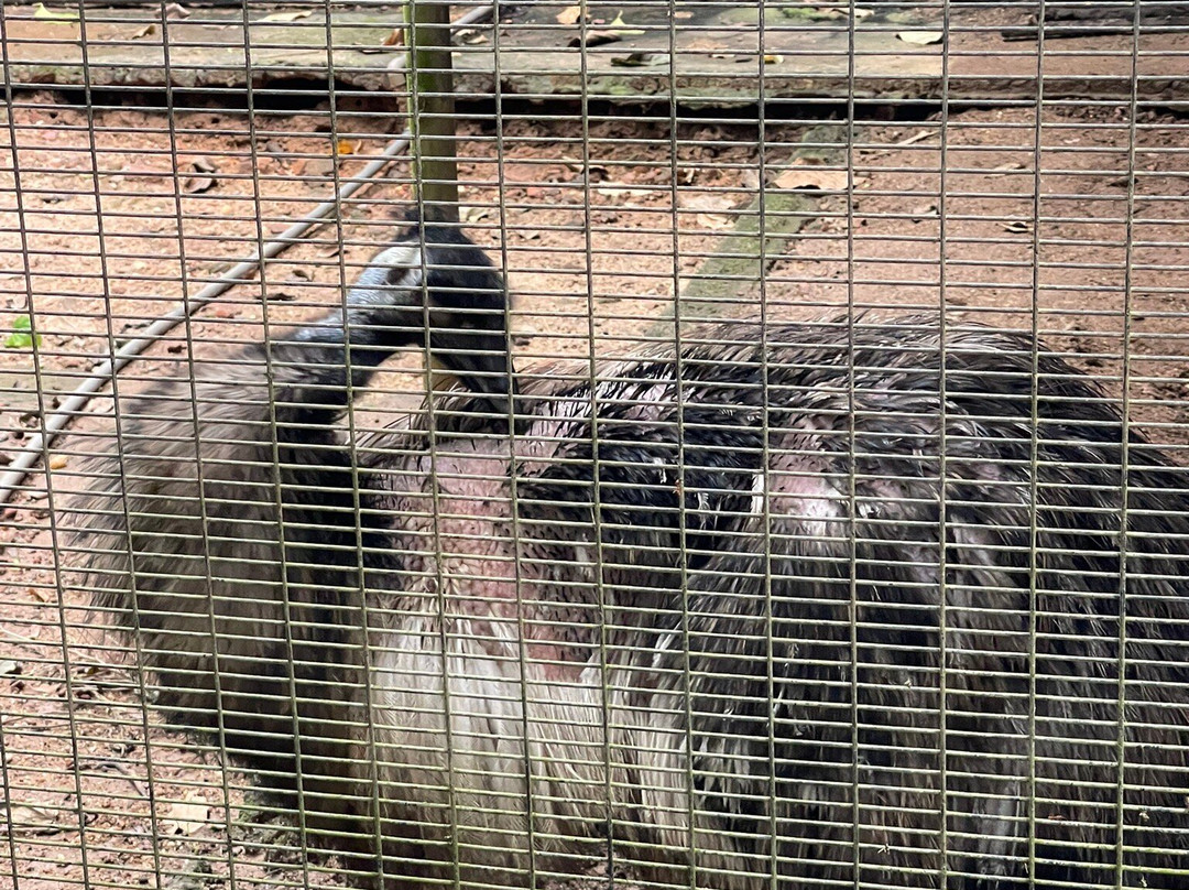 Water World Lanka-凯拉尼亚必去景点