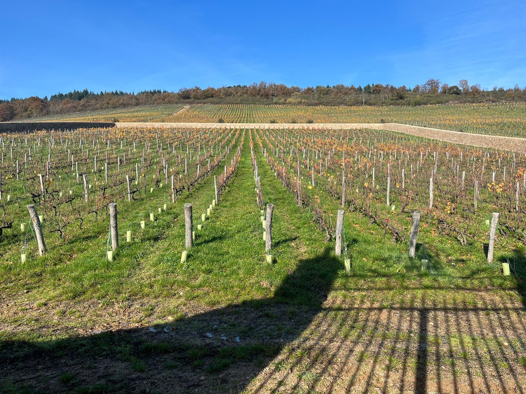 Chateau de La Chaize-Odenas必去景点