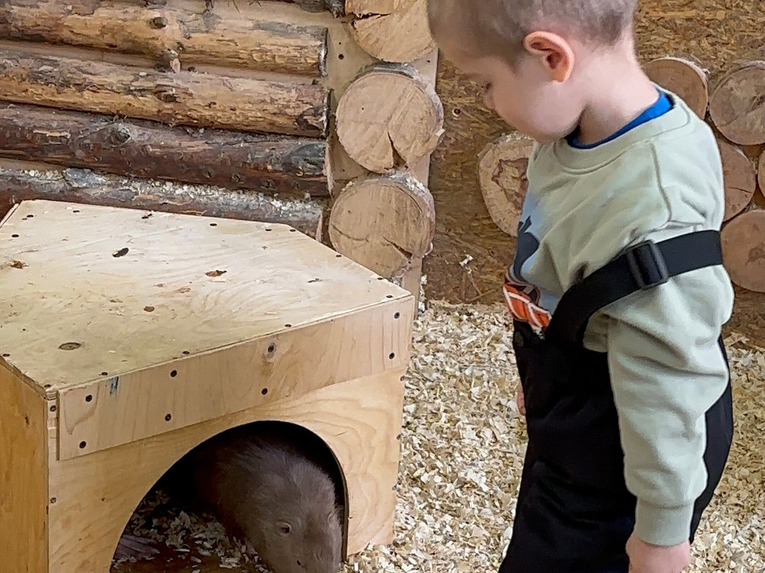 Strana Enotiya-克拉斯诺亚尔斯克必去景点