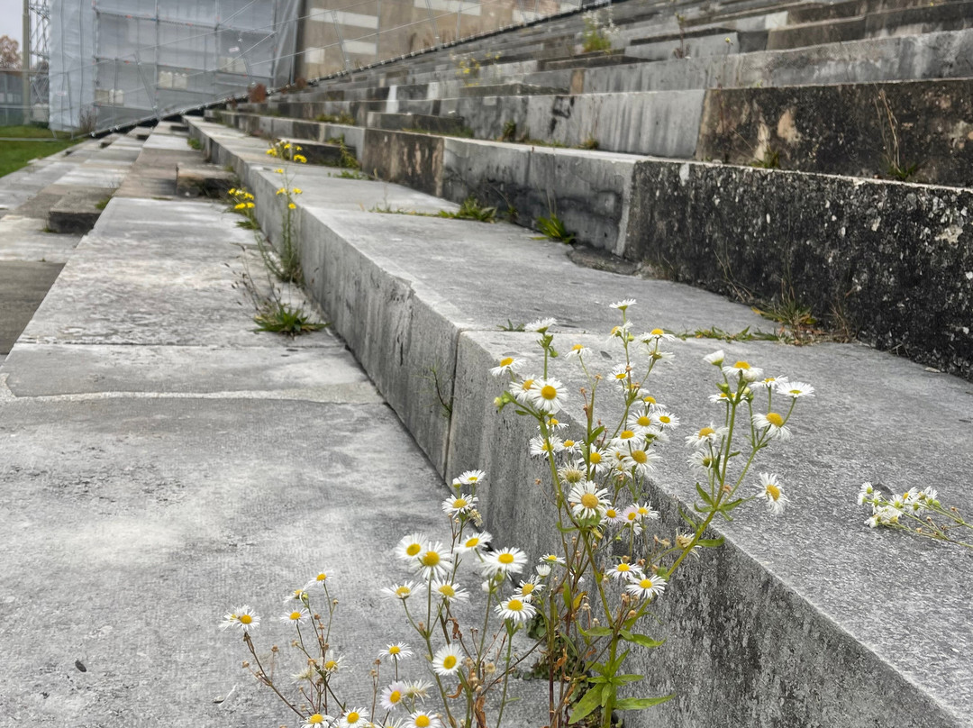 Zeppelinfeld-纽伦堡必去景点