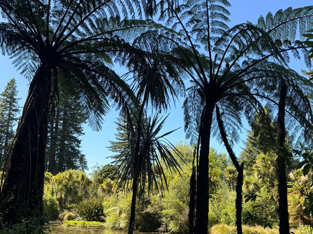 Hamurana Springs Nature Reserve-哈姆拉娜必去景点