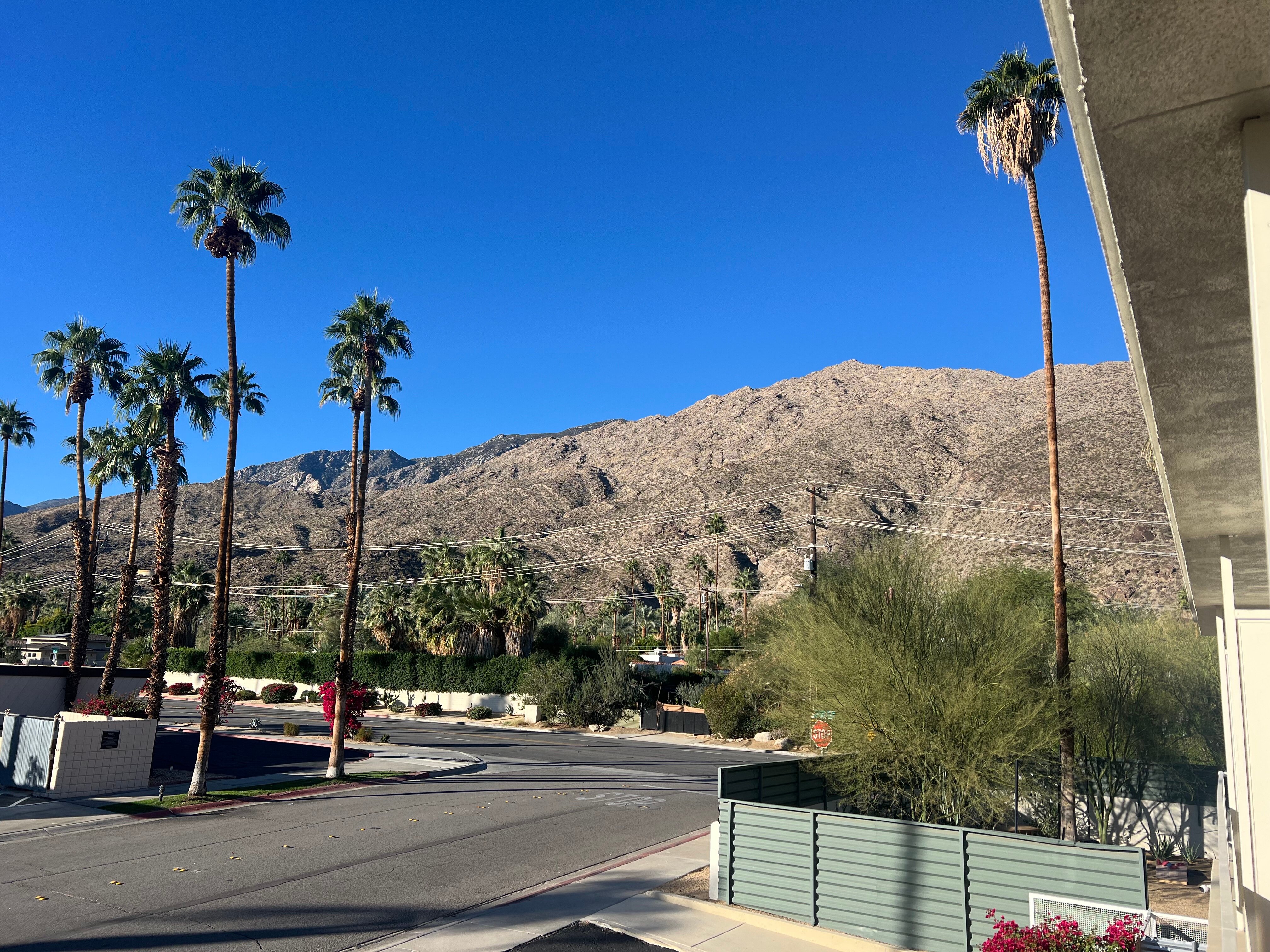 皇家太阳酒店-酒店景观