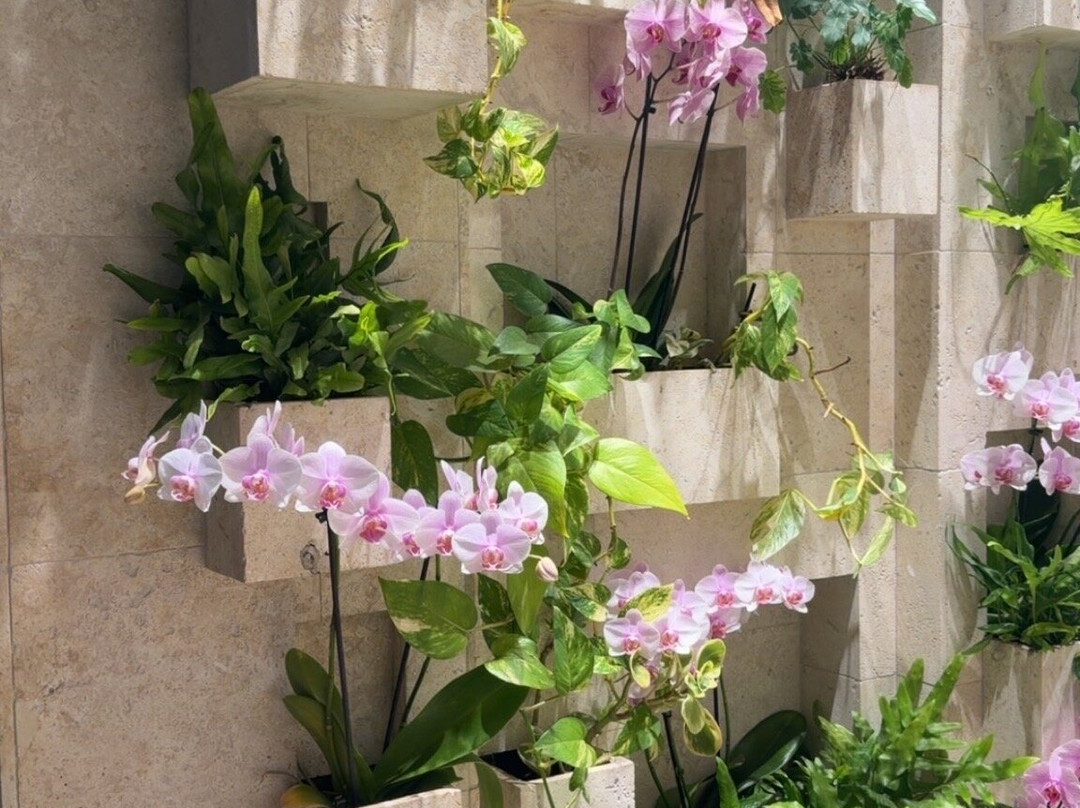 Whalers Village-拉海纳必去景点