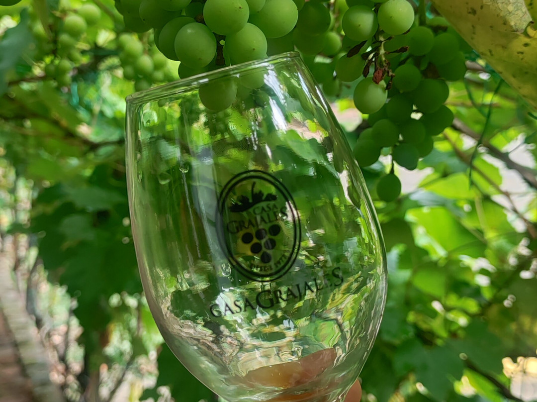 Hotel Los Vinedos主图