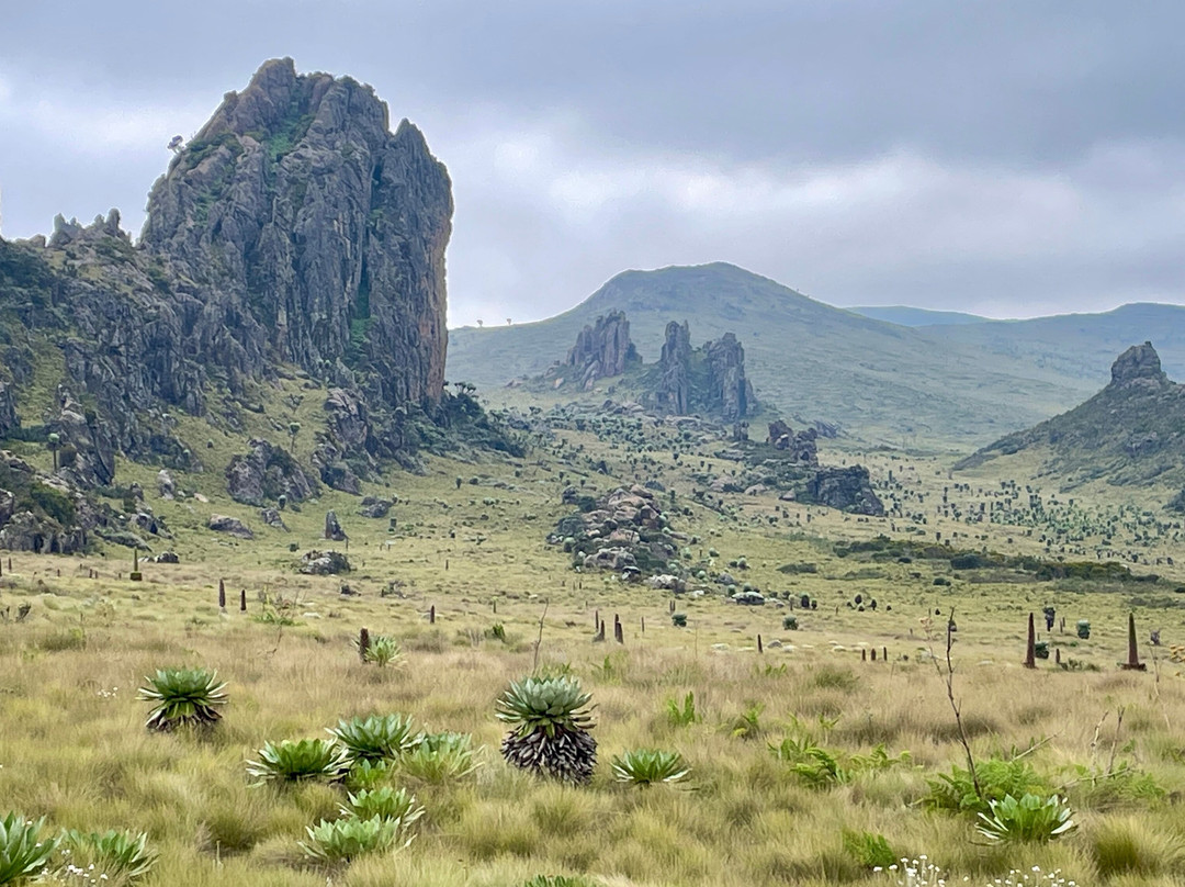 Mega Wild Safaris-坎帕拉必去景点