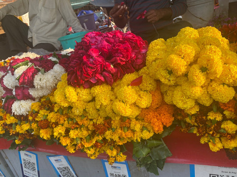 Seagull Jaunt-斋蒲尔必去景点