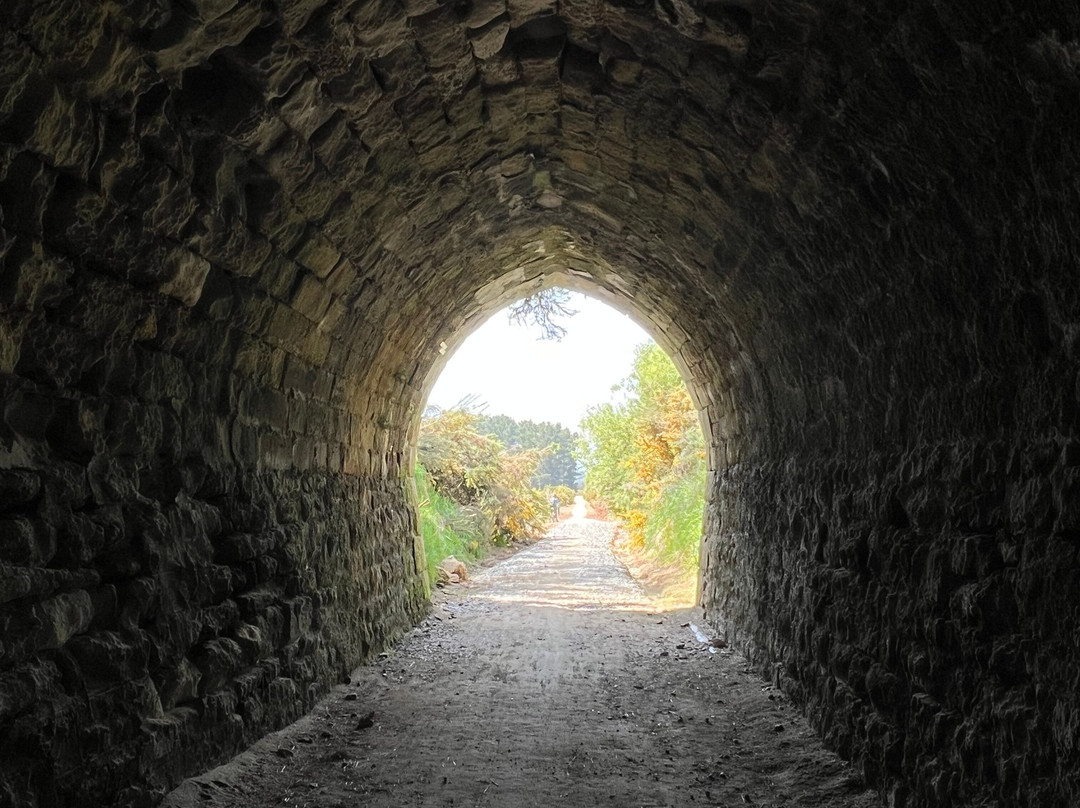 Cycle Journeys Twizel-特威泽尔必去景点