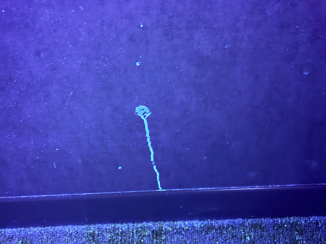 杜勒斯机场北雅乐轩酒店主图