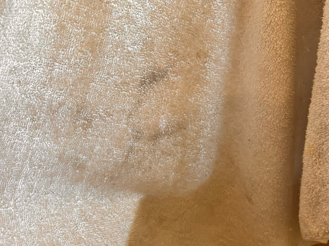 Echor Malusara Lakeview Retreat Bhimtal主图