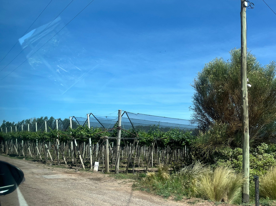 Bodega Santa Julia-Maipu必去景点