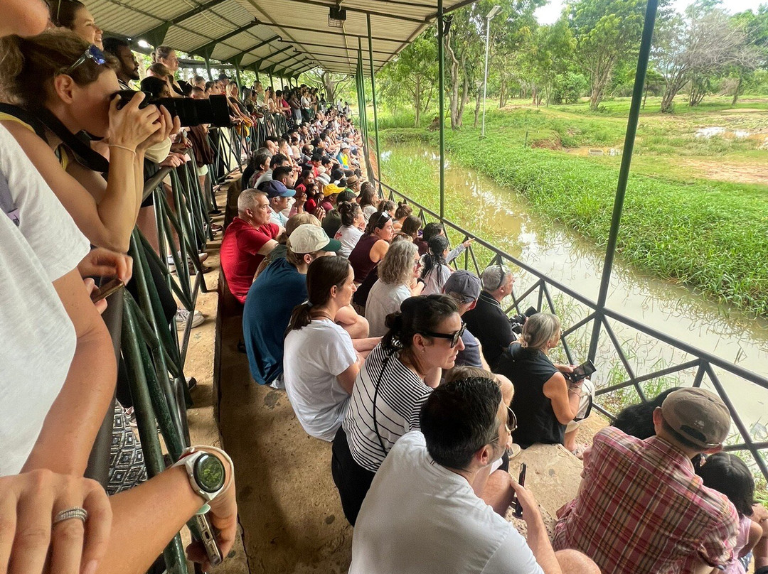 Elephant Transit Home (ETH)-乌达瓦拉维国家公园必去景点