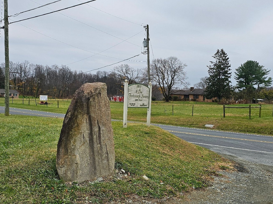 Foxborough Nursery-Street必去景点