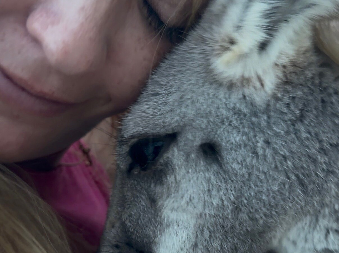 Blue Hills Ranch-McGregor必去景点