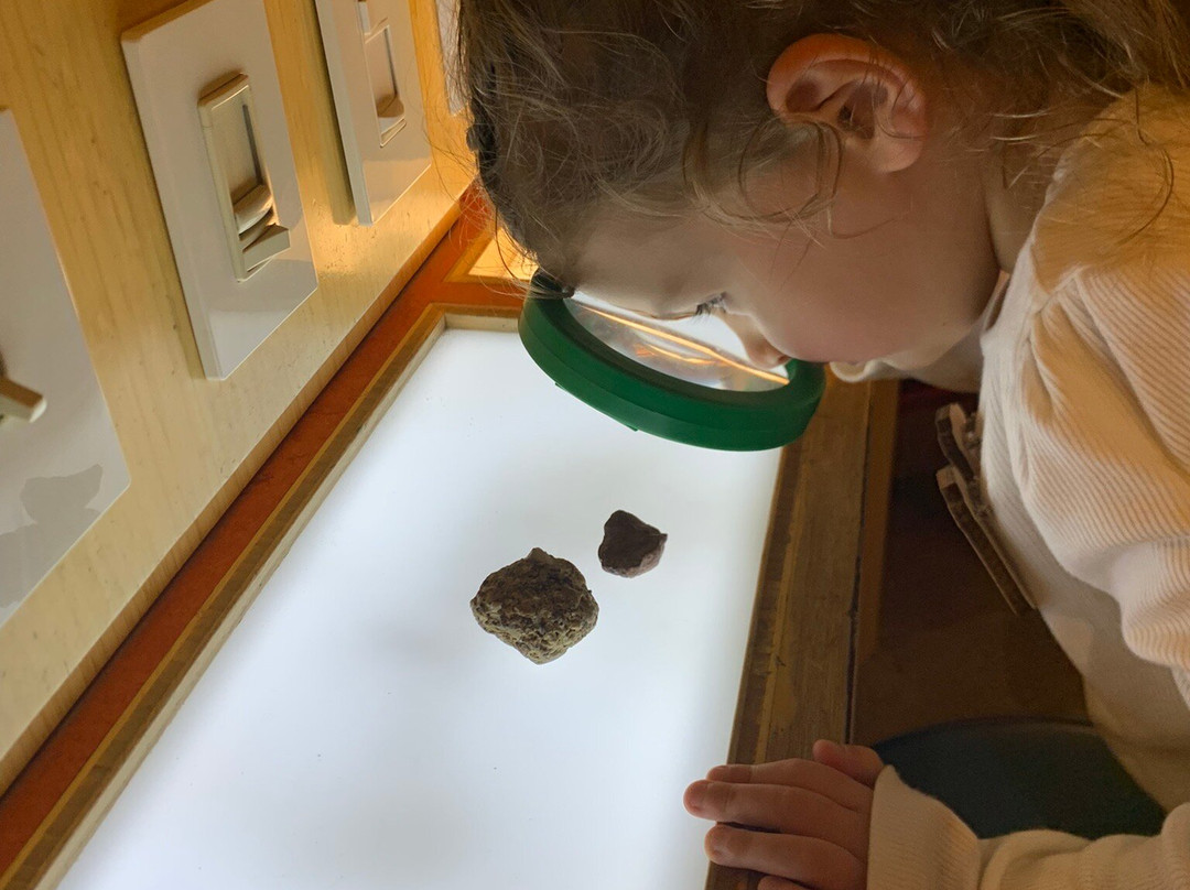 The Magic House-圣路易斯必去景点