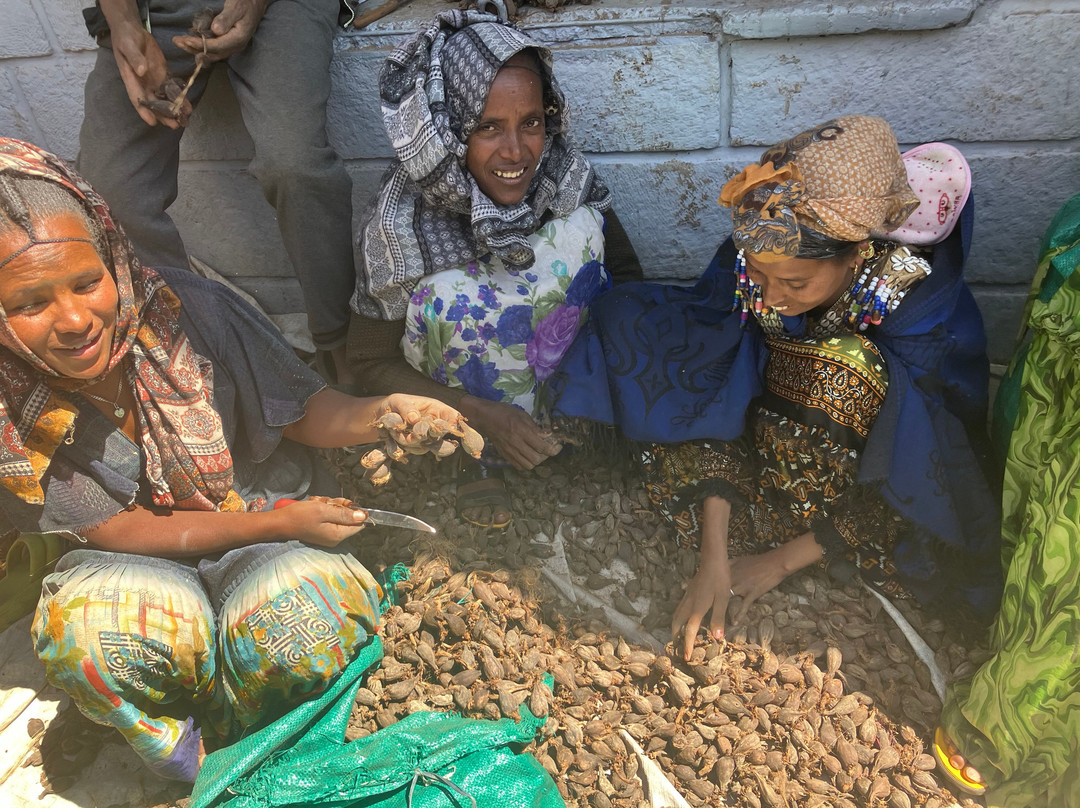 Eyayaw Tours Ethiopia-亚的斯亚贝巴必去景点