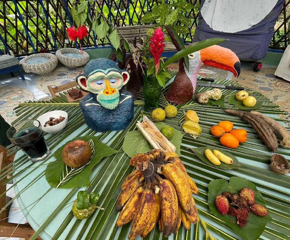 Finca Flora-Bocas del Toro必去景点