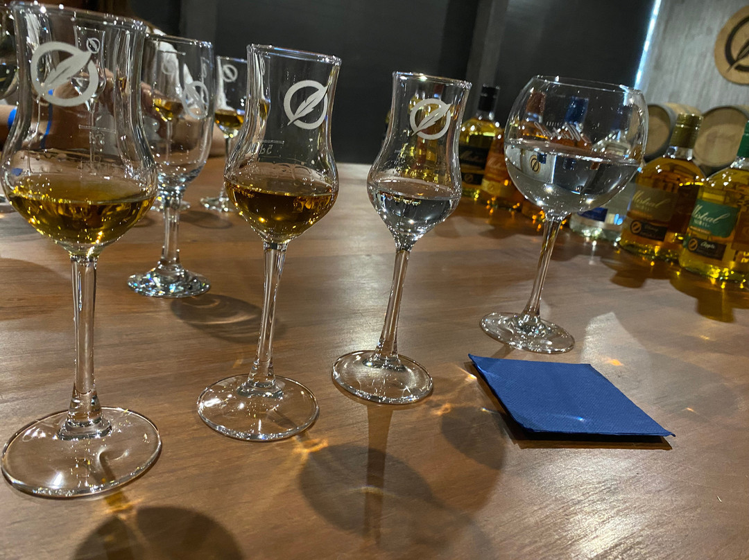 Destileria Pisco Mistral-Pisco Elqui必去景点