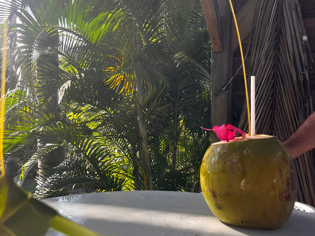 La Maison du Coco-圣亮必去景点