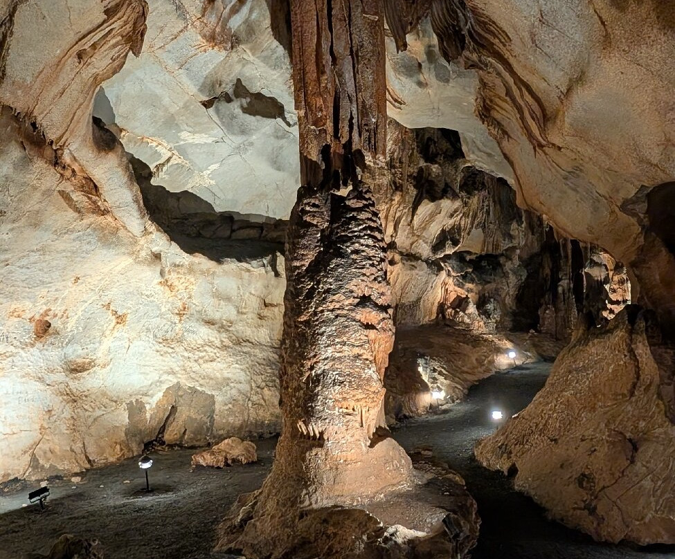 Melrose Caverns-哈里森堡必去景点