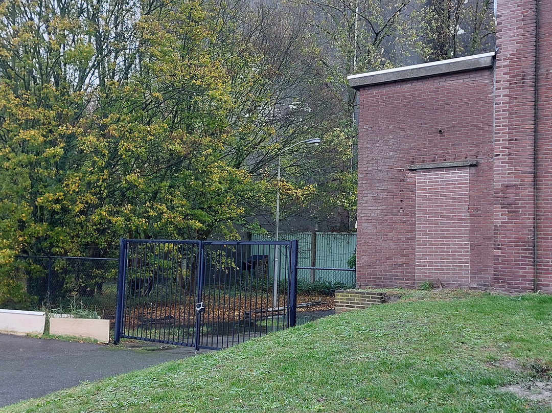 Industrieel Museum Zeeland IMZ-萨斯凡享特必去景点