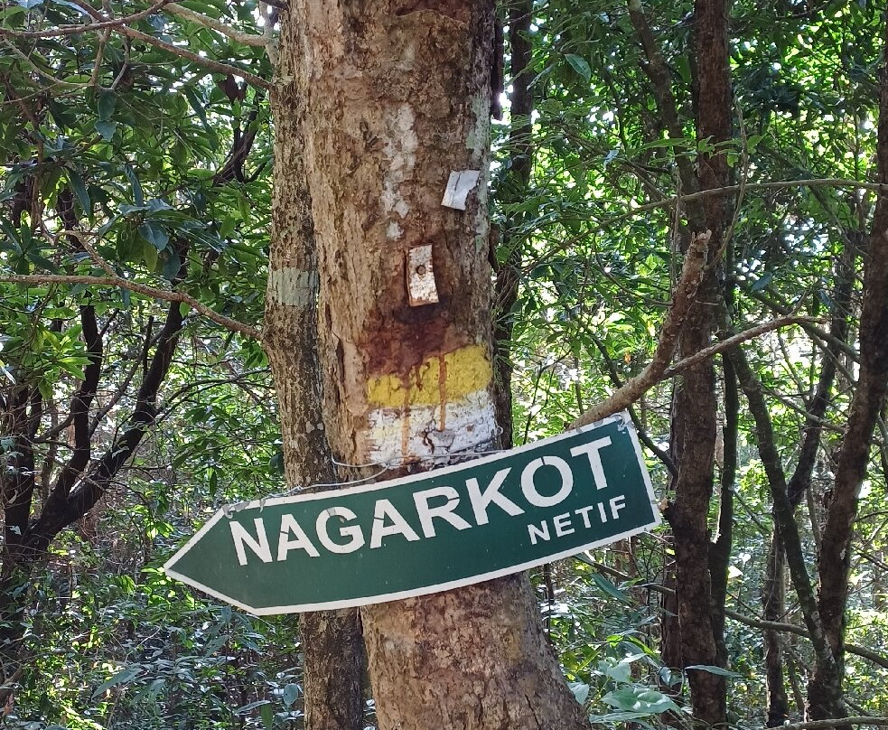 Nagarkot Nature Trail-纳加阔特必去景点