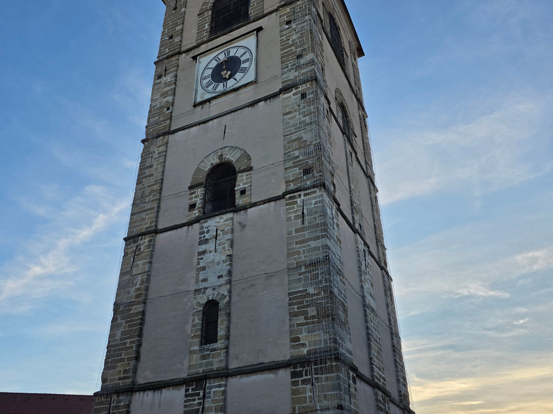 Ptuj City Tower-普图伊必去景点