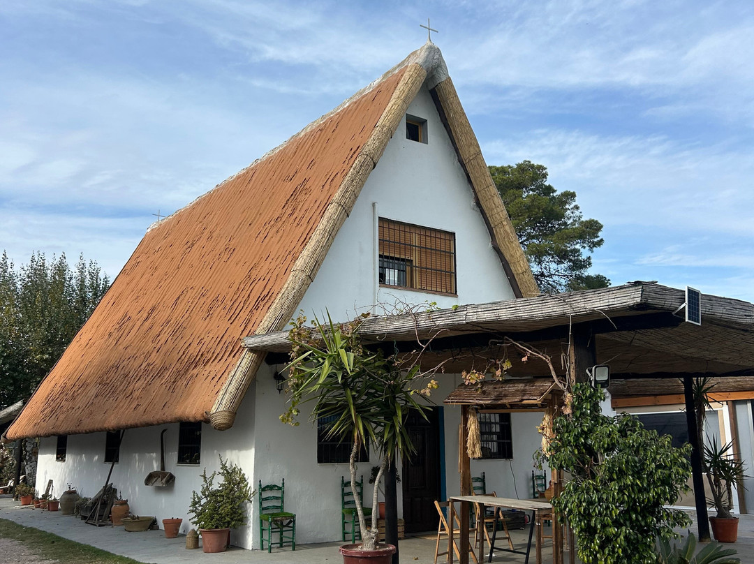 Paseos en Barca por la Albufera "El Roig"
