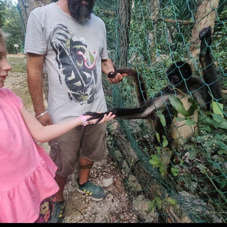 Akumal Natura Rescue-艾库玛尔必去景点