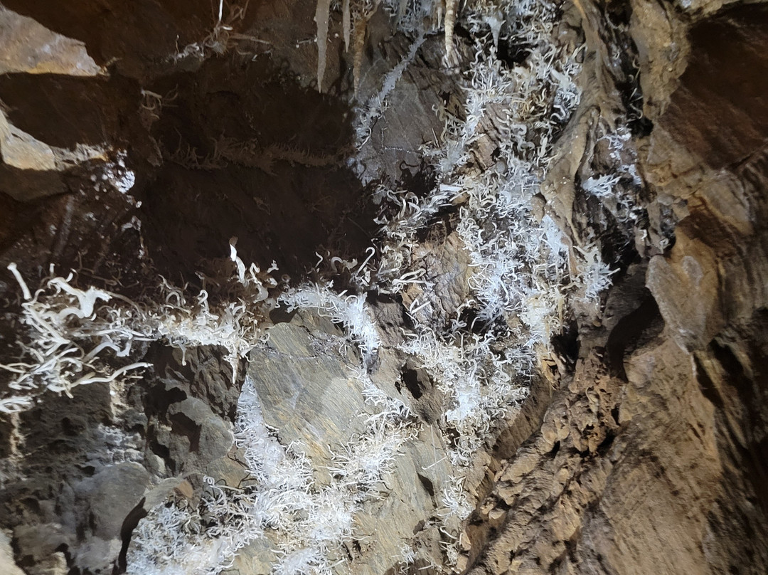 Black Chasm Cavern-Pine Grove必去景点