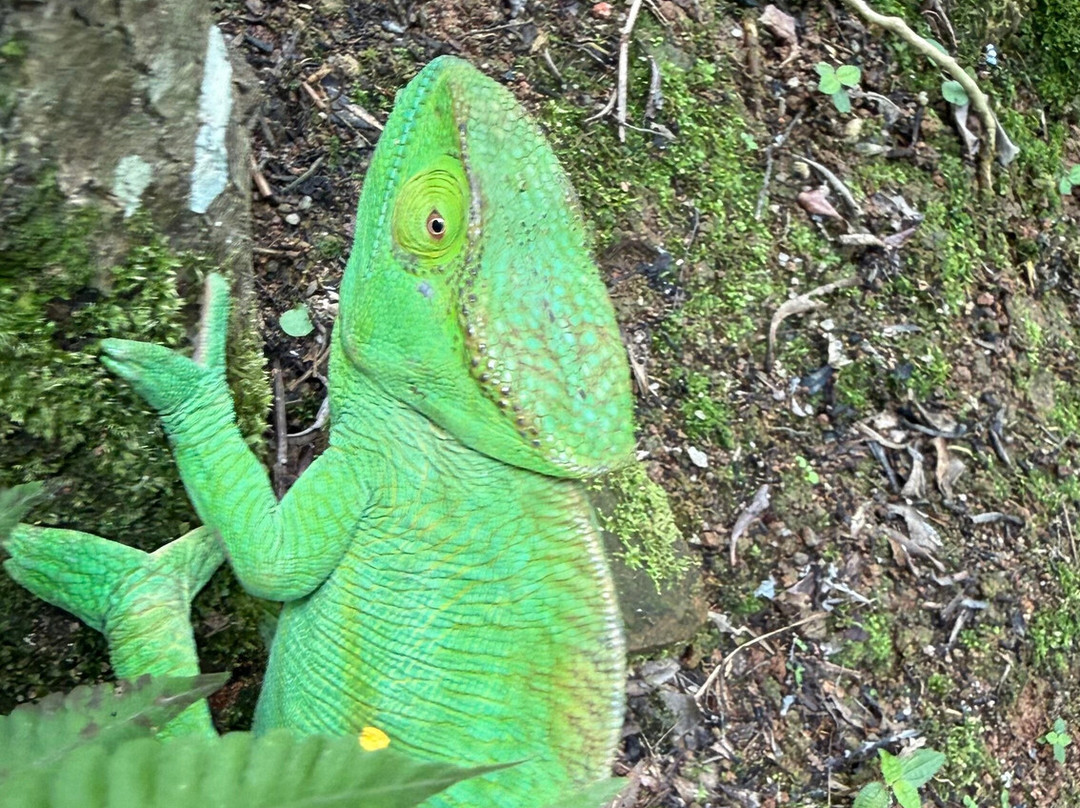 Madarako Tours-安塔那那利佛必去景点