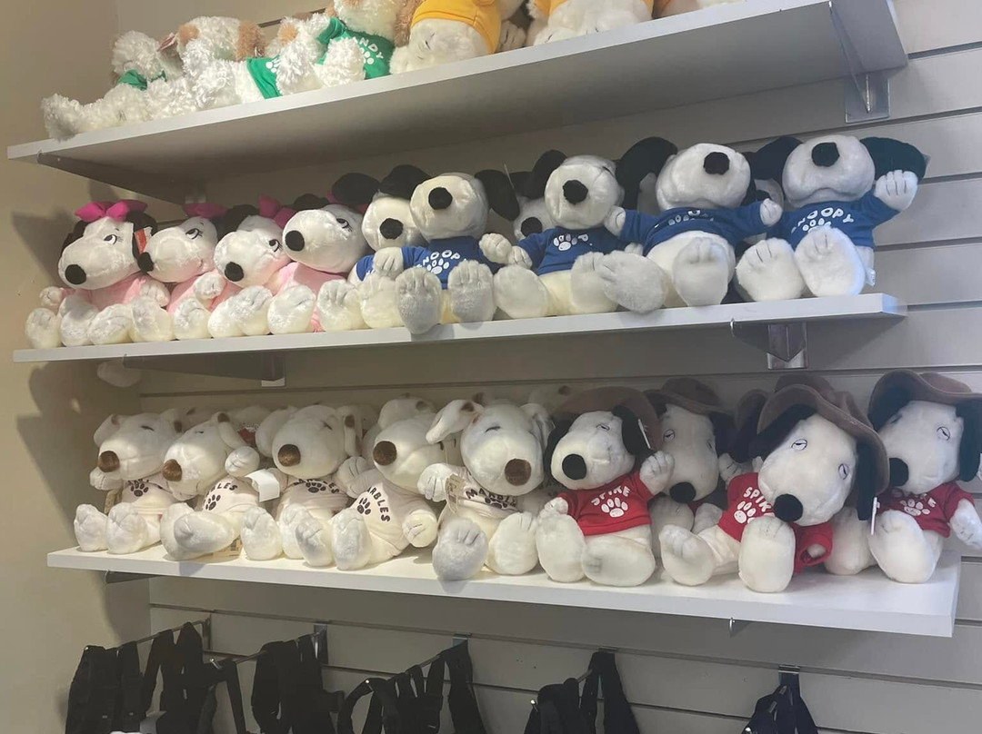 帝王之城游乐园-多斯韦尔必去景点