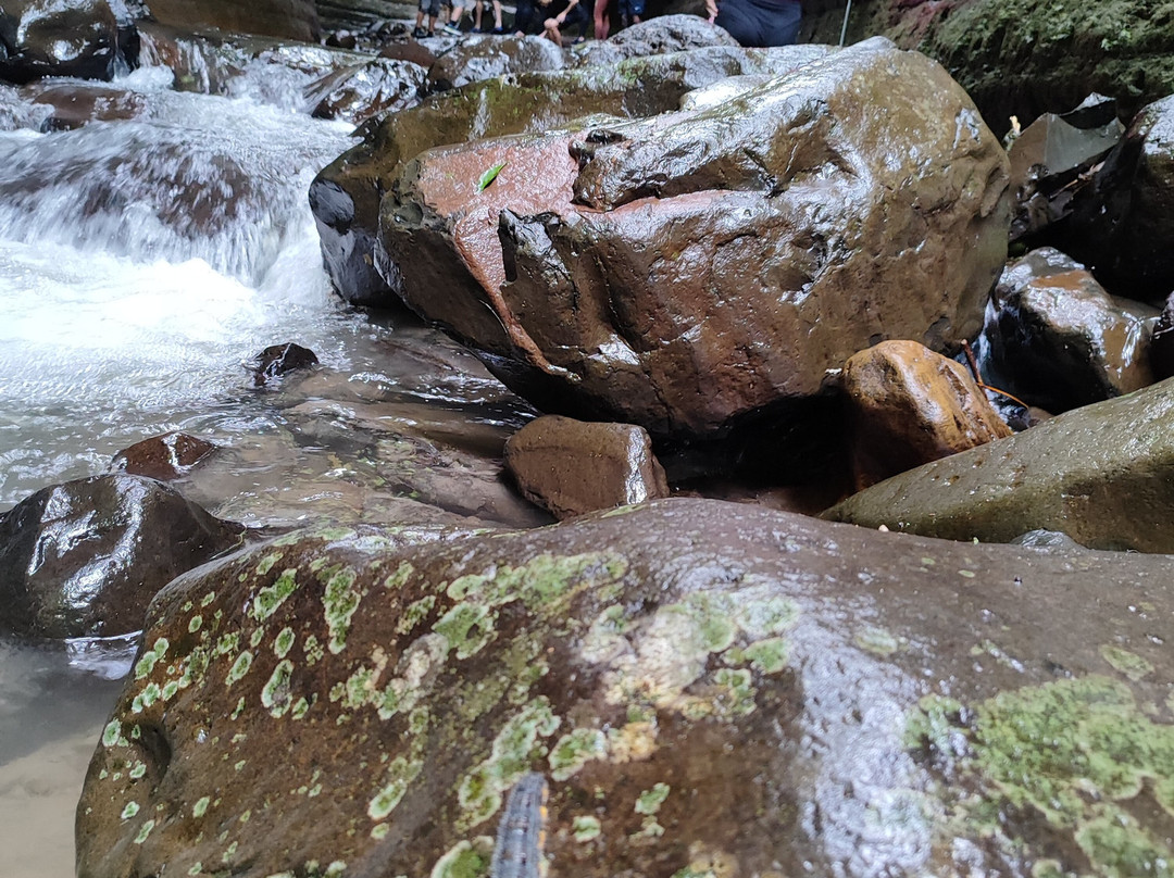 Aventura no Caminho-Santo Amaro da Imperatriz必去景点