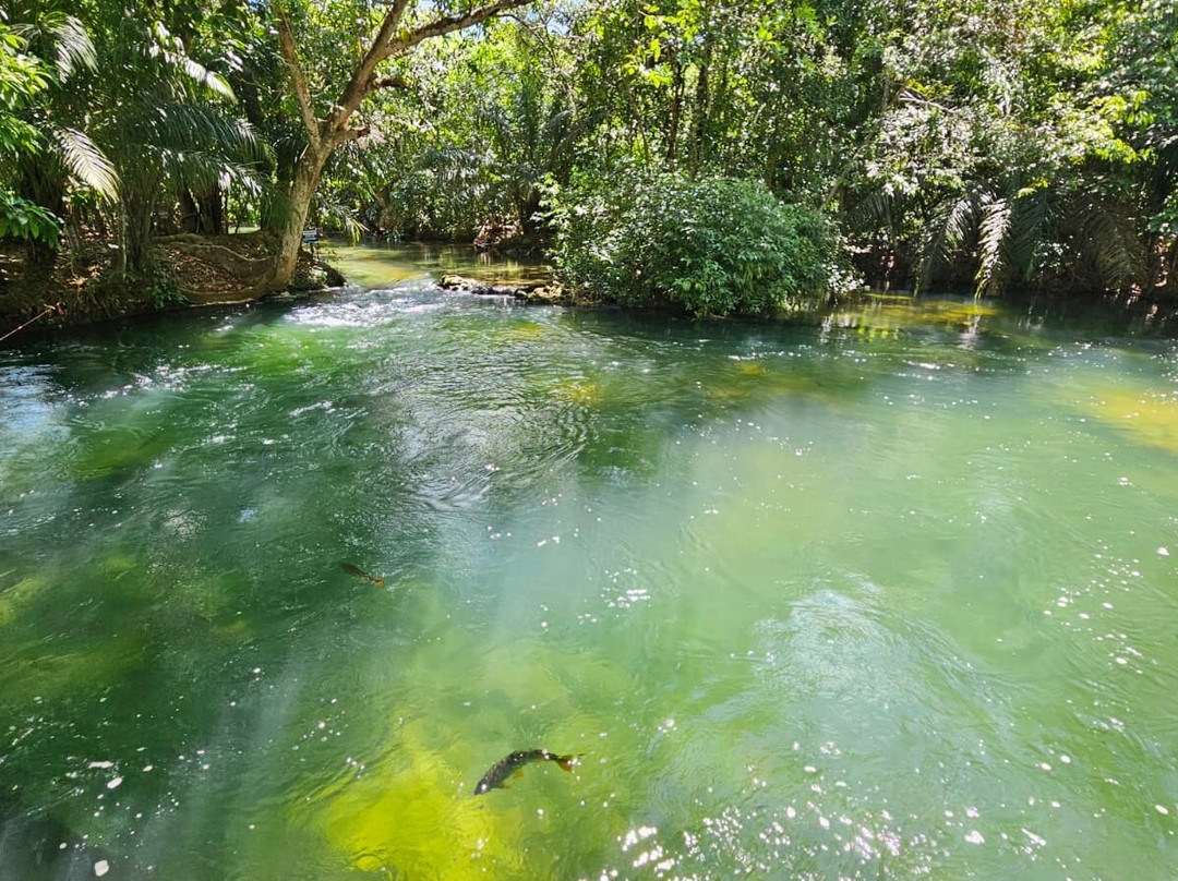 Eco Park Porto Da Ilha-博尼图必去景点
