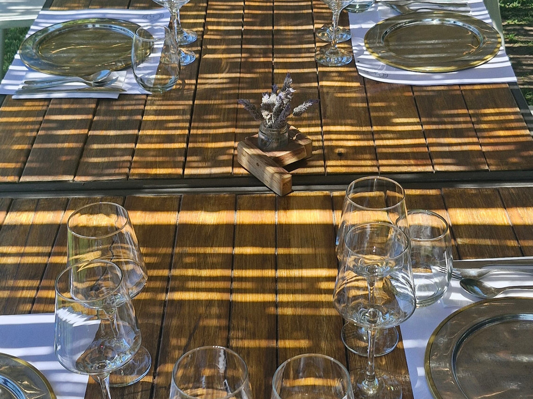 Bodega Hacienda del Plata-路冉得库约必去景点