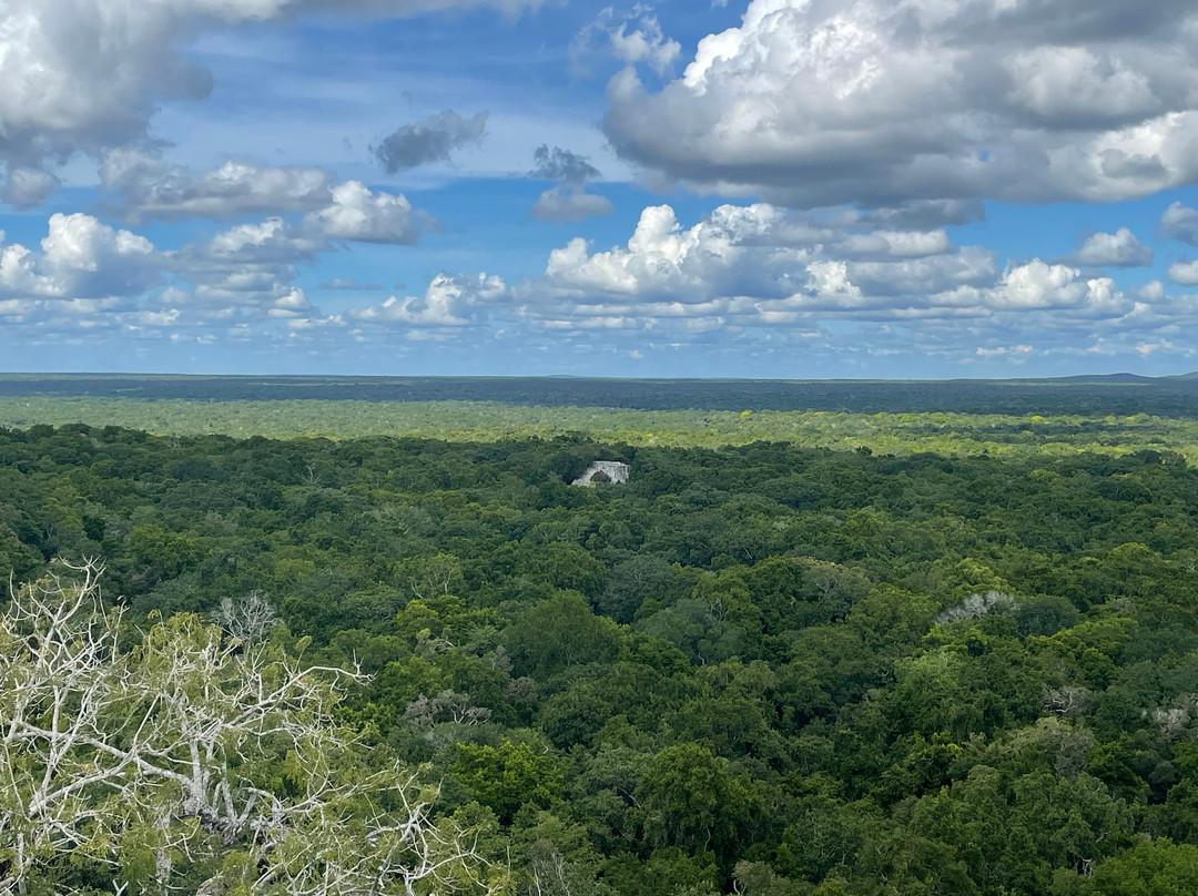 Calakmul Adventures day tours-Xpujil Town必去景点