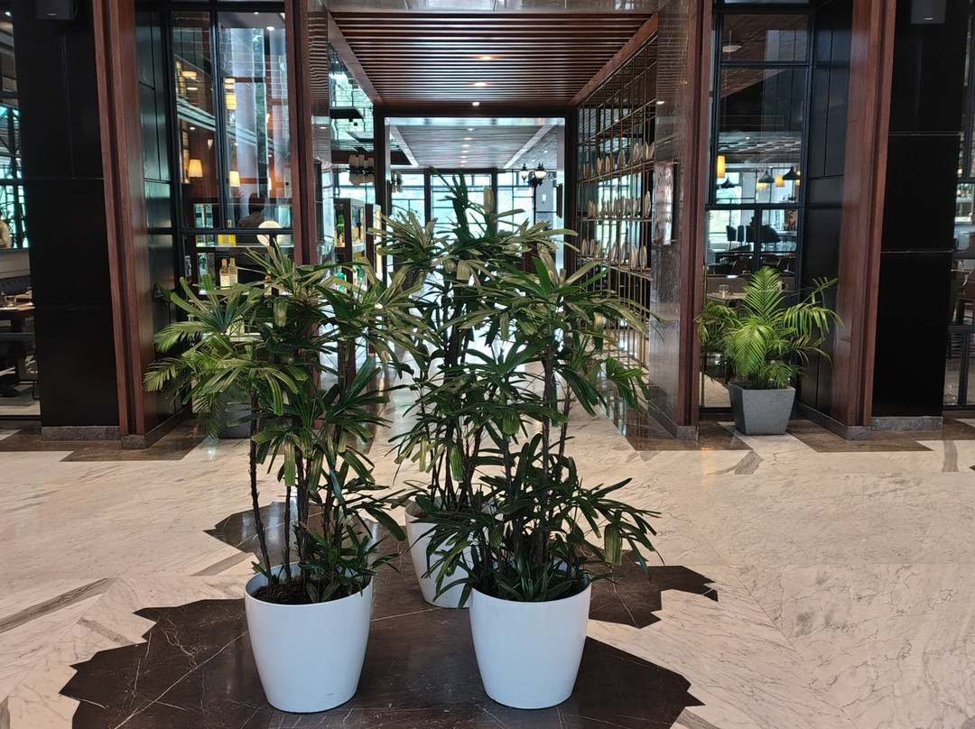 Hotel Polo Towers Agartala主图