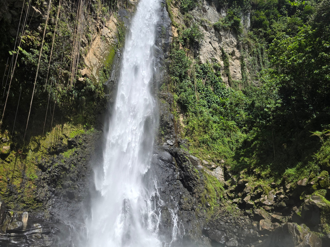 My Island Adventures with Chadi Symes-罗索必去景点