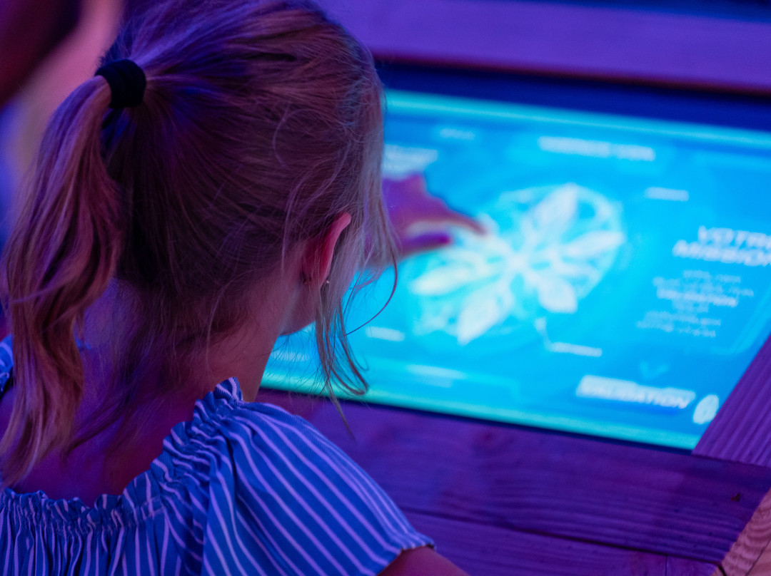 Mission AREKA-Dienne必去景点