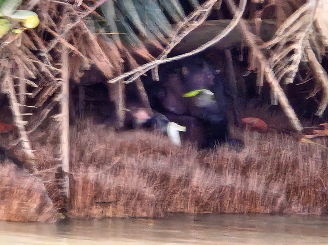 Smiley, Your Eco-Nature Guide in Kuntaur Gambia-Kuntaur必去景点