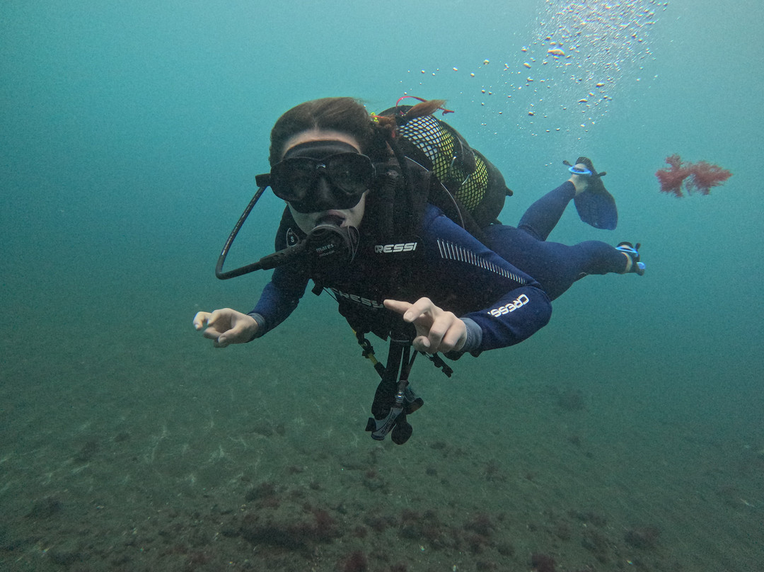 Cidade Velha Diving-大贝里拉历史中心旧城必去景点